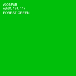 #00BF0B - Forest Green Color Image