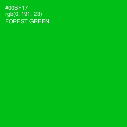 #00BF17 - Forest Green Color Image