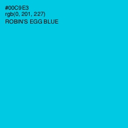 #00C9E3 - Robin's Egg Blue Color Image