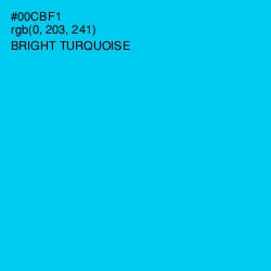 #00CBF1 - Bright Turquoise Color Image