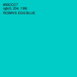 #00CCC7 - Robin's Egg Blue Color Image
