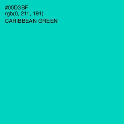 #00D3BF - Caribbean Green Color Image