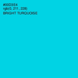 #00D3E4 - Bright Turquoise Color Image