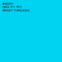 #00D3F1 - Bright Turquoise Color Image