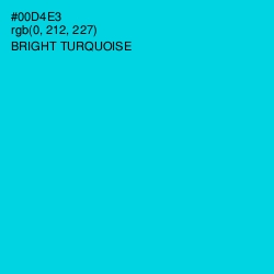 #00D4E3 - Bright Turquoise Color Image