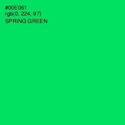 #00E061 - Spring Green Color Image