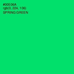#00E06A - Spring Green Color Image