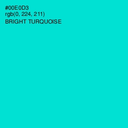 #00E0D3 - Bright Turquoise Color Image