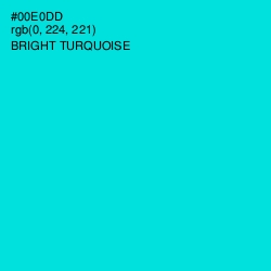 #00E0DD - Bright Turquoise Color Image