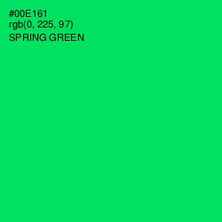 #00E161 - Spring Green Color Image