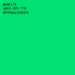 #00E173 - Spring Green Color Image