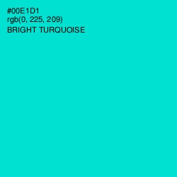 #00E1D1 - Bright Turquoise Color Image