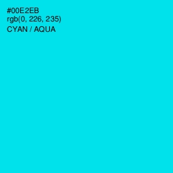 #00E2EB - Cyan / Aqua Color Image