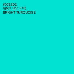 #00E3D2 - Bright Turquoise Color Image