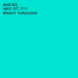 #00E3D3 - Bright Turquoise Color Image