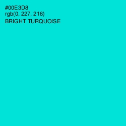 #00E3D8 - Bright Turquoise Color Image