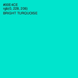 #00E4CE - Bright Turquoise Color Image