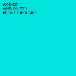 #00E4DD - Bright Turquoise Color Image