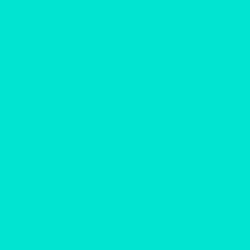 #00E5D2 - Bright Turquoise Color Image