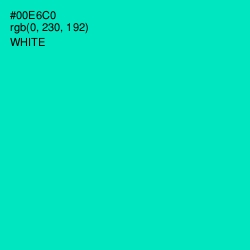 #00E6C0 - Bright Turquoise Color Image