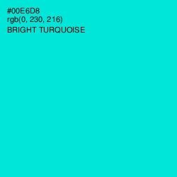#00E6D8 - Bright Turquoise Color Image