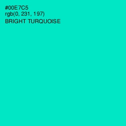#00E7C5 - Bright Turquoise Color Image