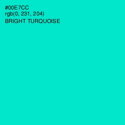 #00E7CC - Bright Turquoise Color Image