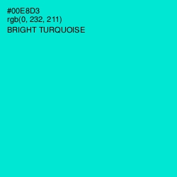 #00E8D3 - Bright Turquoise Color Image