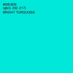 #00E8D9 - Bright Turquoise Color Image