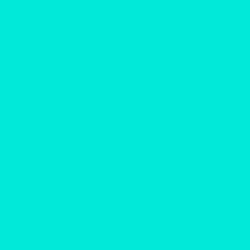 #00E9D9 - Bright Turquoise Color Image