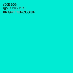 #00EBD3 - Bright Turquoise Color Image