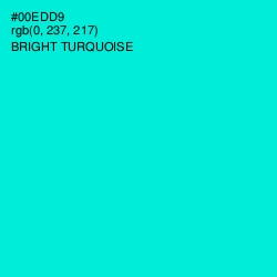 #00EDD9 - Bright Turquoise Color Image