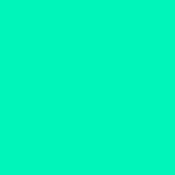 #00F5BA - Caribbean Green Color Image