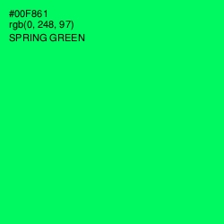 #00F861 - Spring Green Color Image