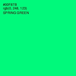 #00F87B - Spring Green Color Image