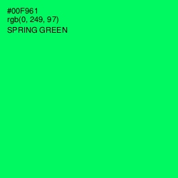 #00F961 - Spring Green Color Image