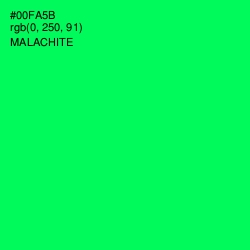 #00FA5B - Malachite Color Image