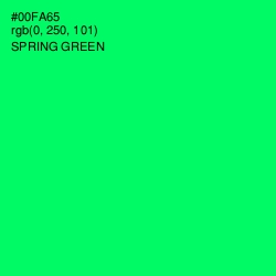 #00FA65 - Spring Green Color Image