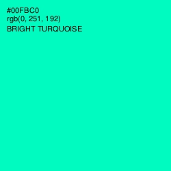 #00FBC0 - Bright Turquoise Color Image