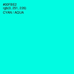 #00FBE2 - Cyan / Aqua Color Image