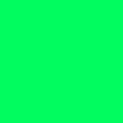 #00FC5F - Spring Green Color Image