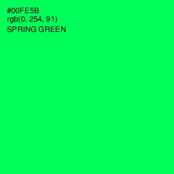 #00FE5B - Spring Green Color Image