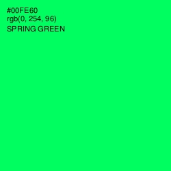 #00FE60 - Spring Green Color Image