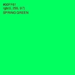 #00FF61 - Spring Green Color Image