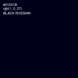 #01001B - Black Russian Color Image