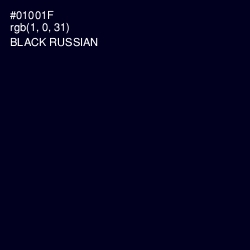 #01001F - Black Russian Color Image