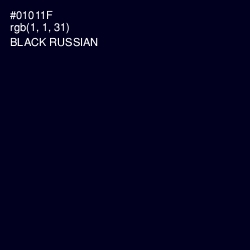#01011F - Black Russian Color Image