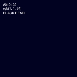 #010122 - Black Pearl Color Image