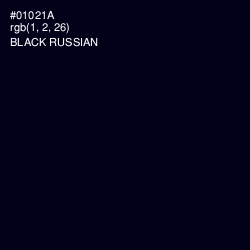 #01021A - Black Russian Color Image