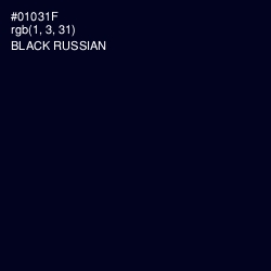 #01031F - Black Russian Color Image